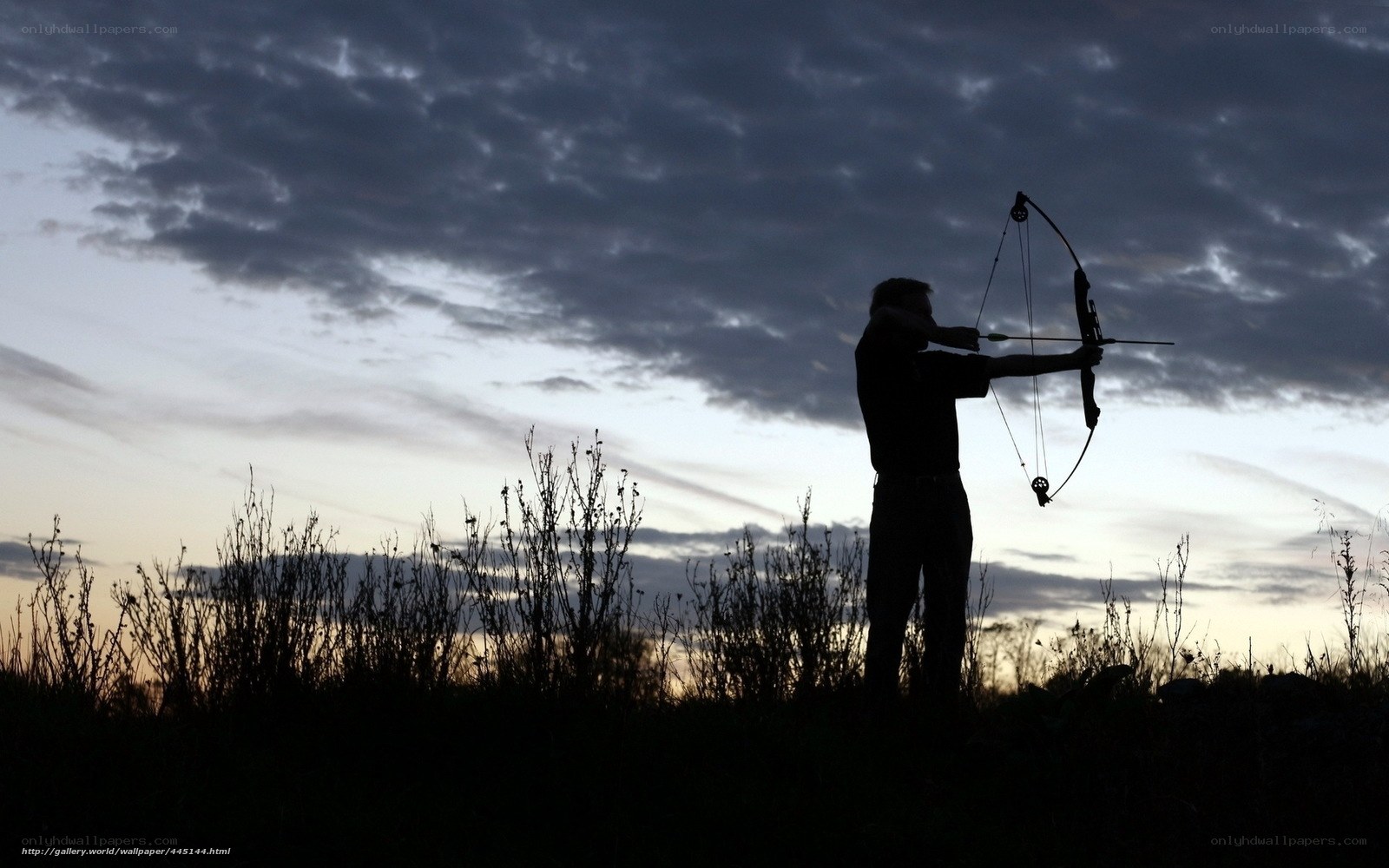 archer at dusk silhouette