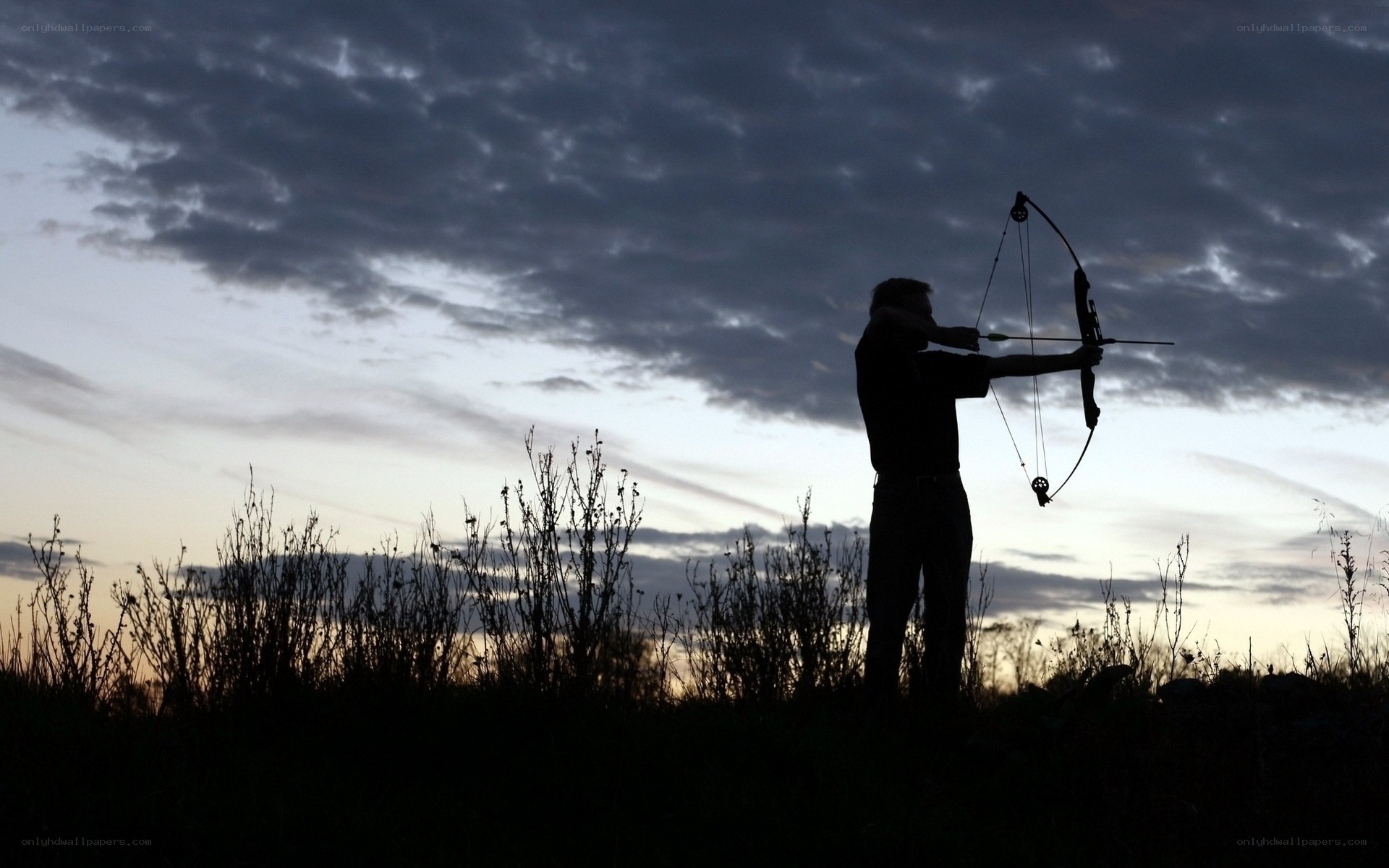 Archer at dusk silhouette