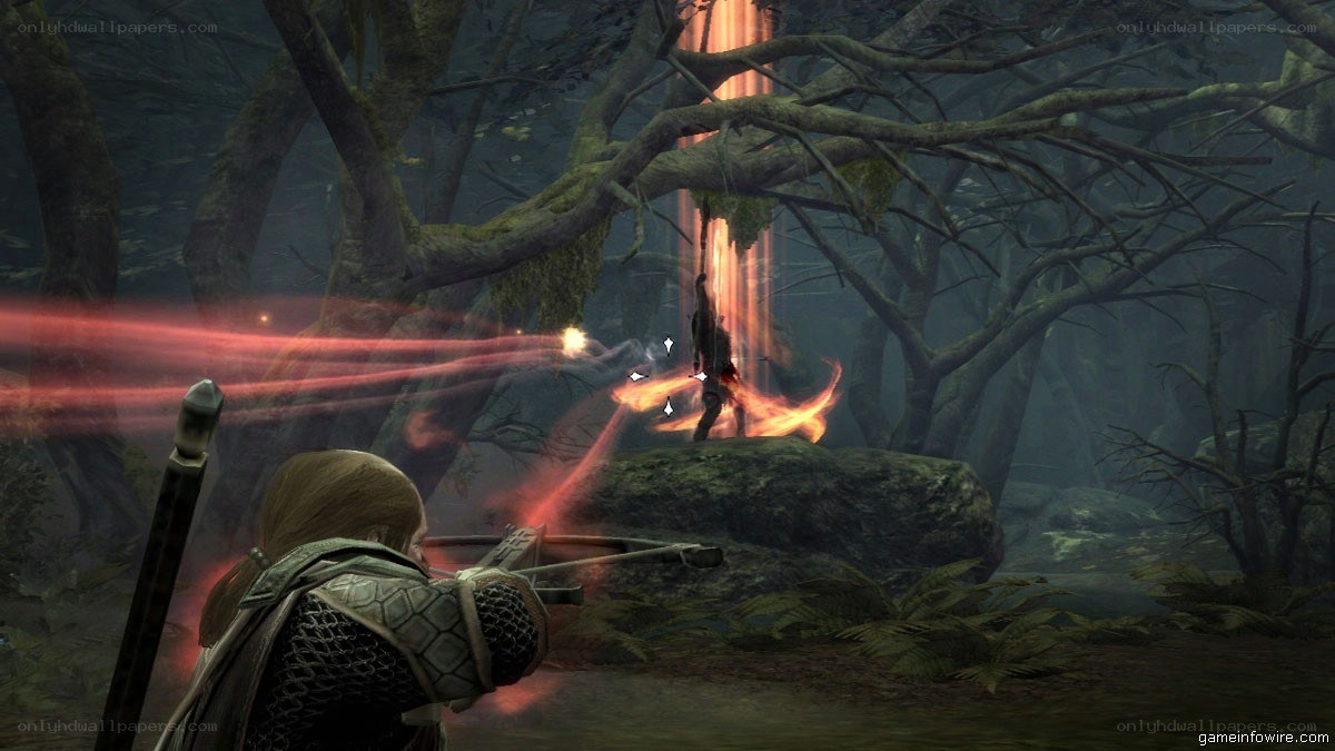 archer in dark forest