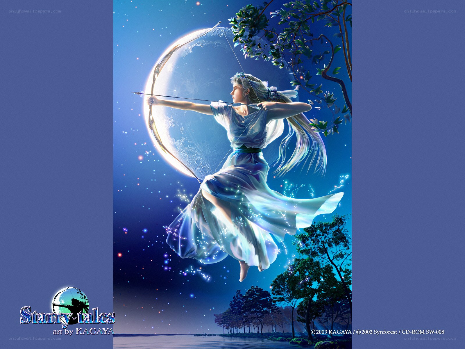 Archer in the starry night