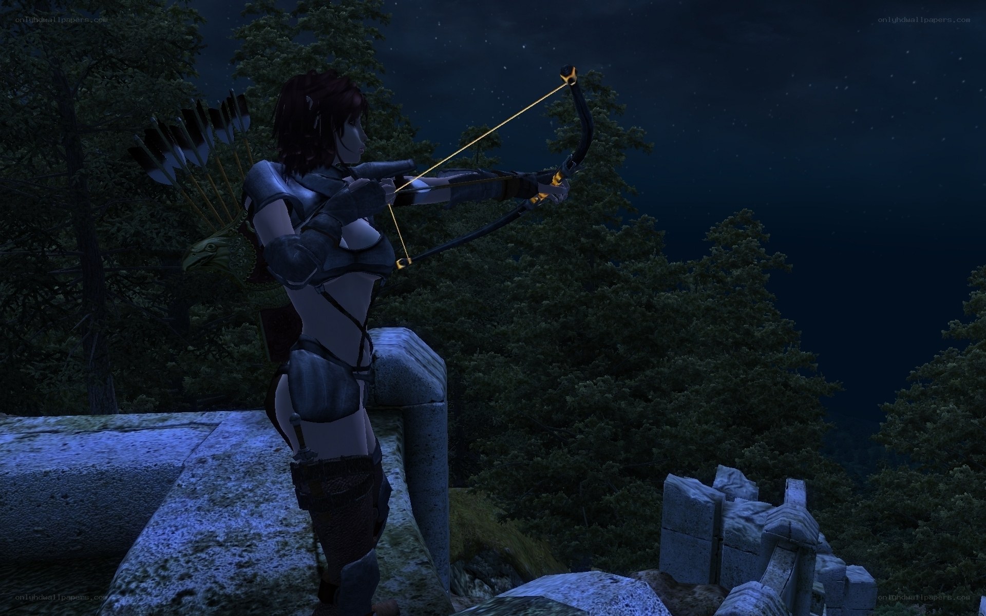archer on a stone ledge
