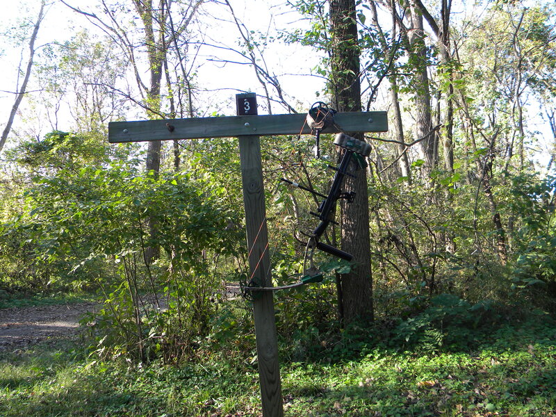Archery target post in forest