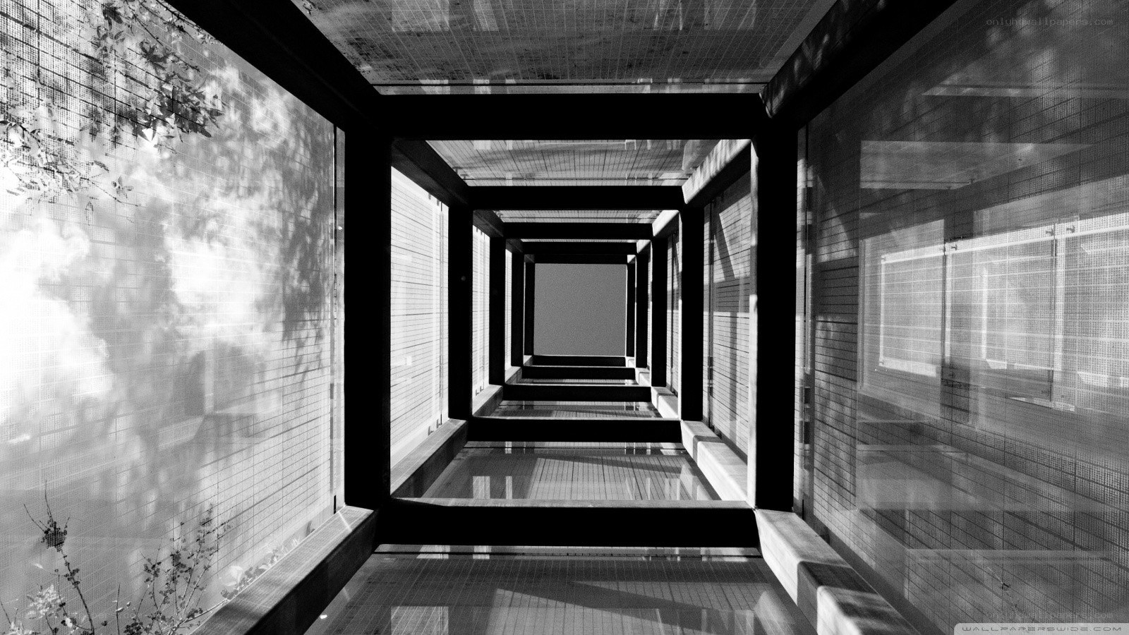 architectural corridor with reflections