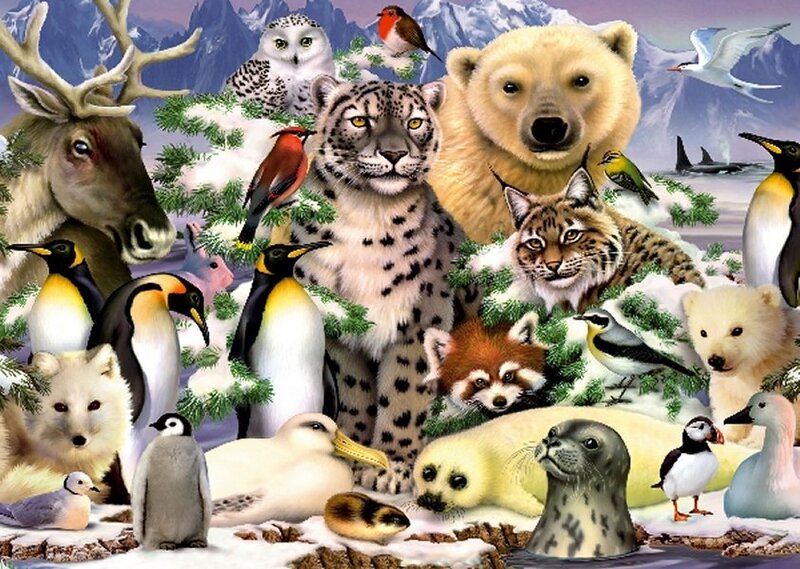 Arctic Animals Gathering