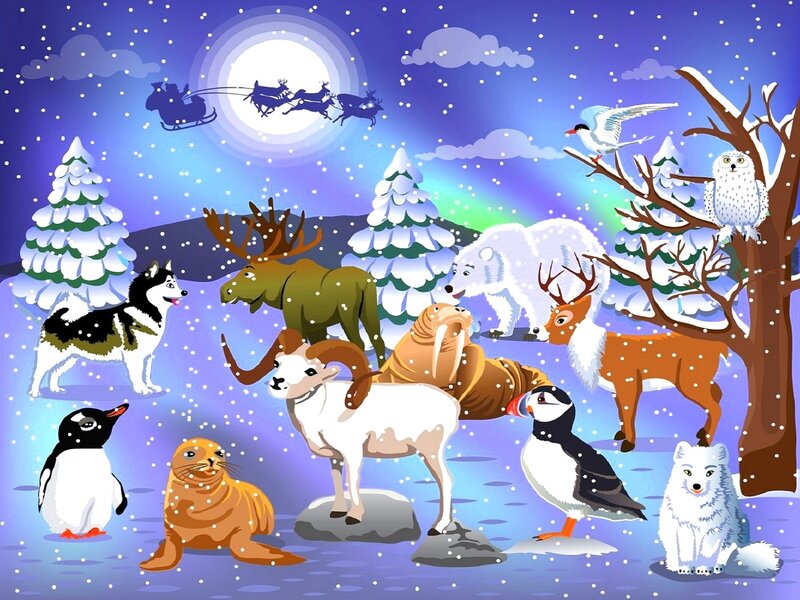 Arctic Animals in Snow