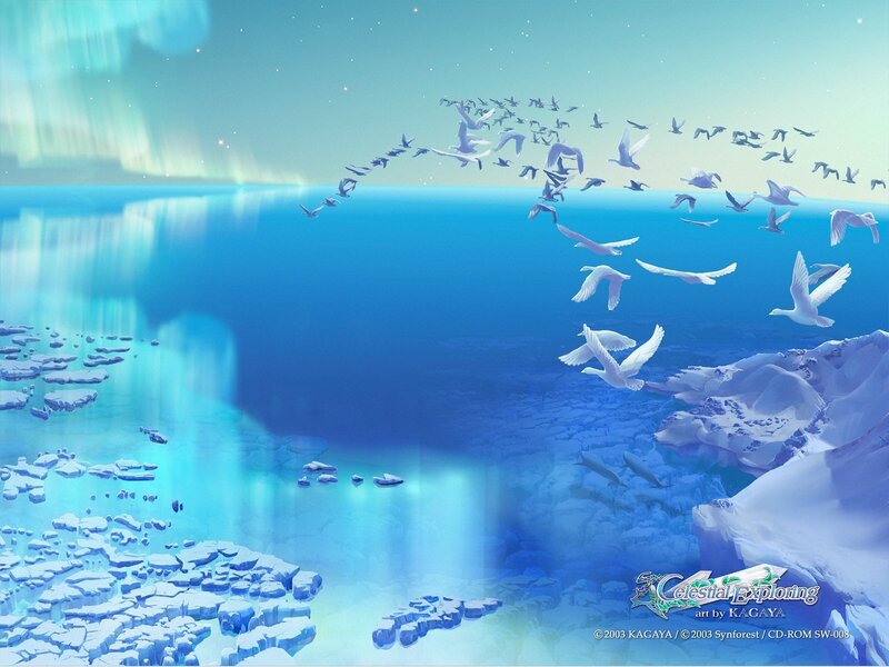 Arctic birds flying over ice