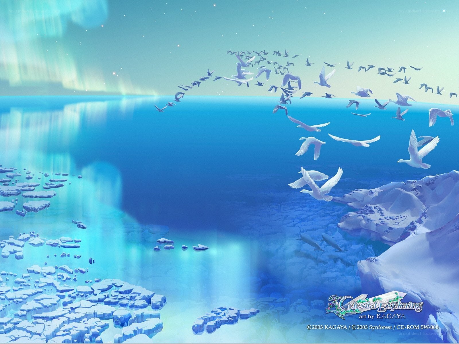 Arctic birds flying over ice