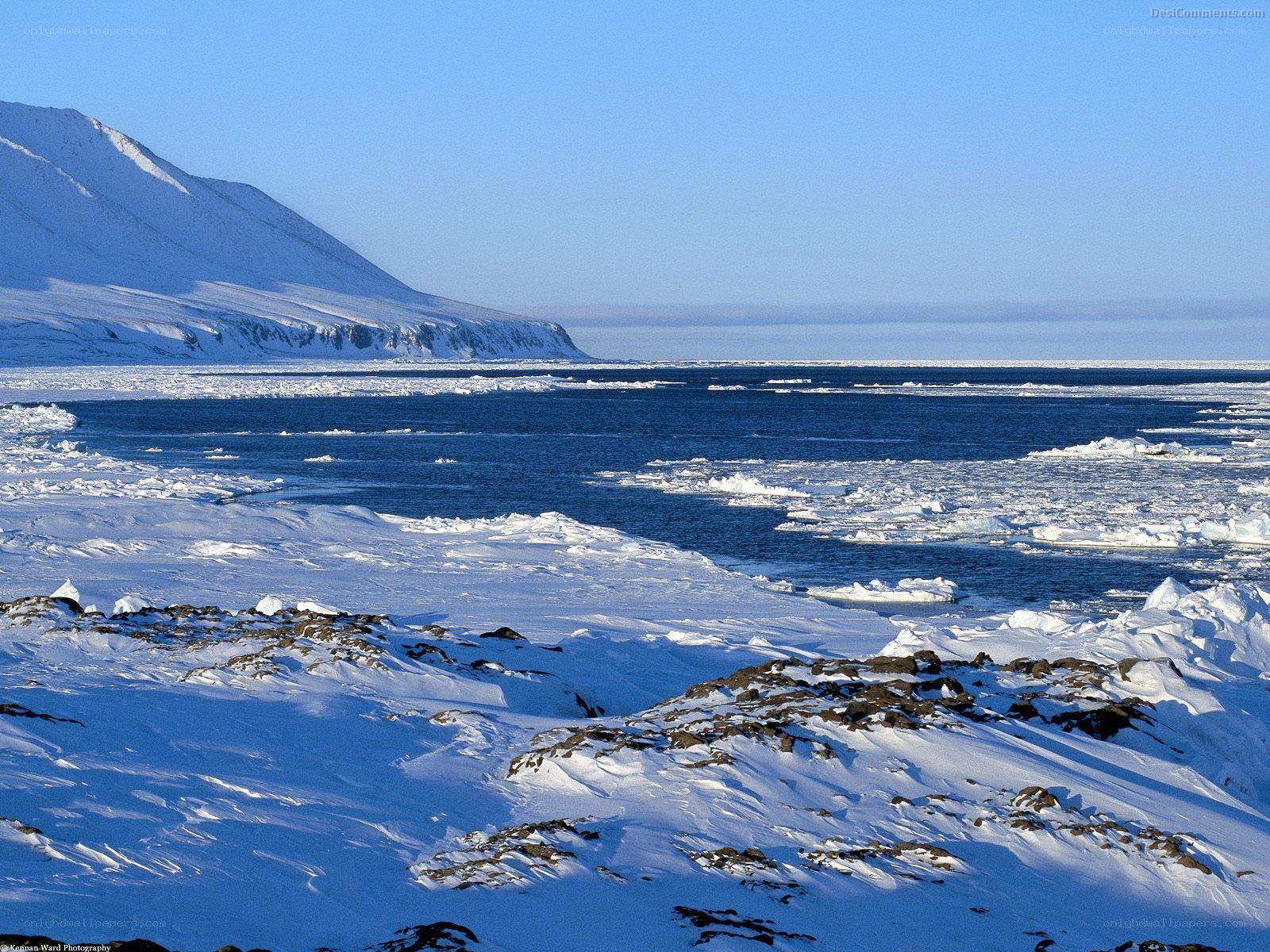 Arctic coastal landscape