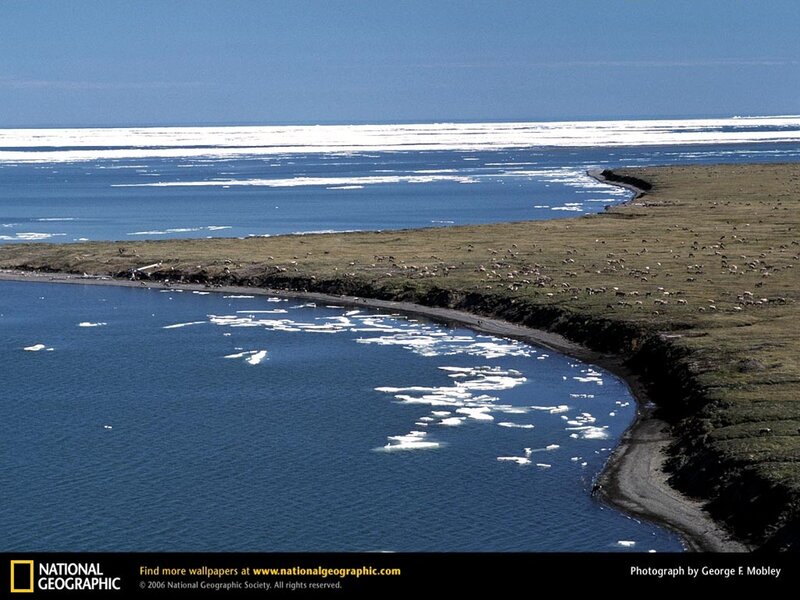 Arctic coastal landscape