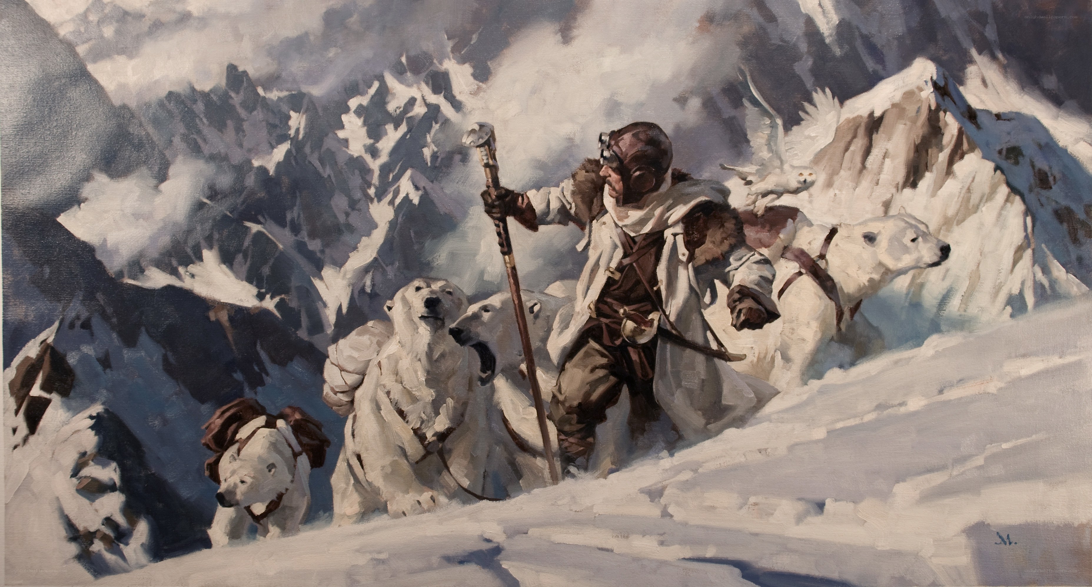 Arctic explorer with polar bears