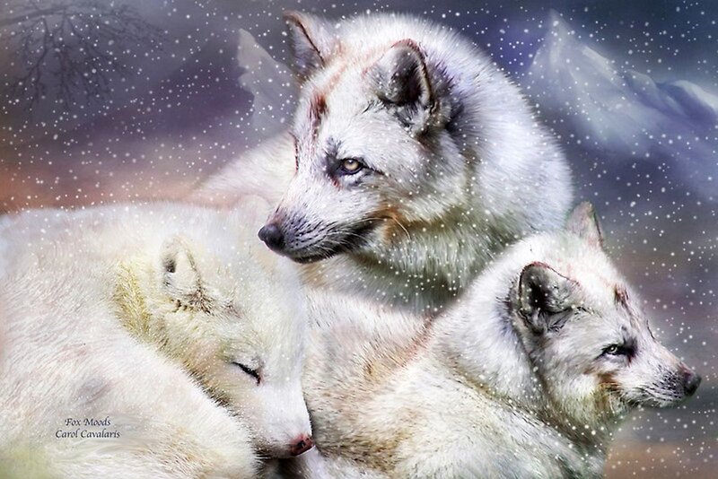 Arctic Fox Family — White