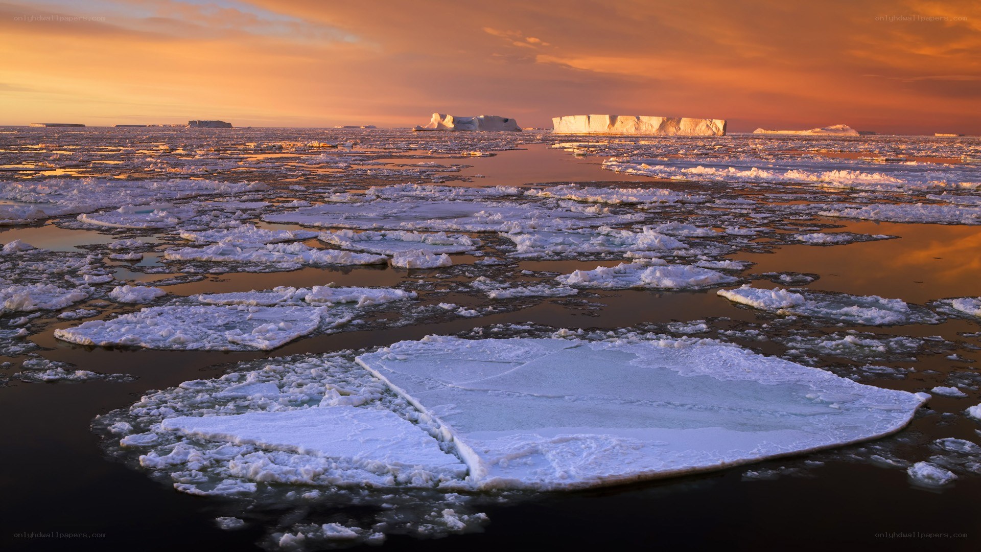 Arctic ice at sunset
