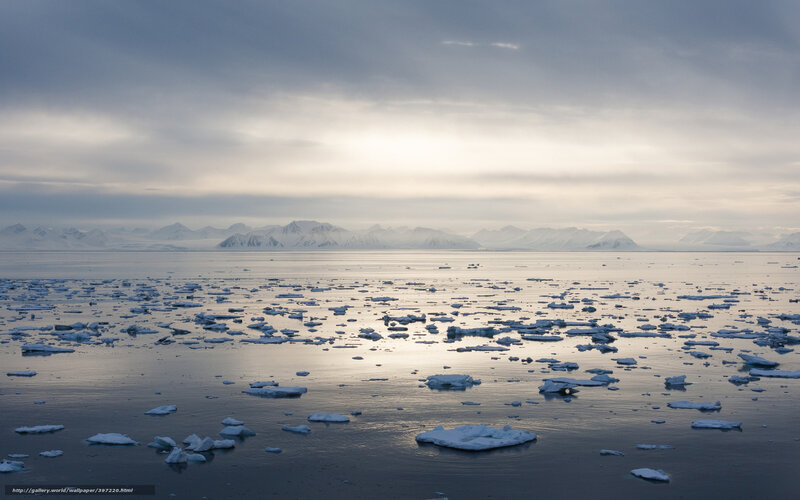 Arctic ice floes at dawn