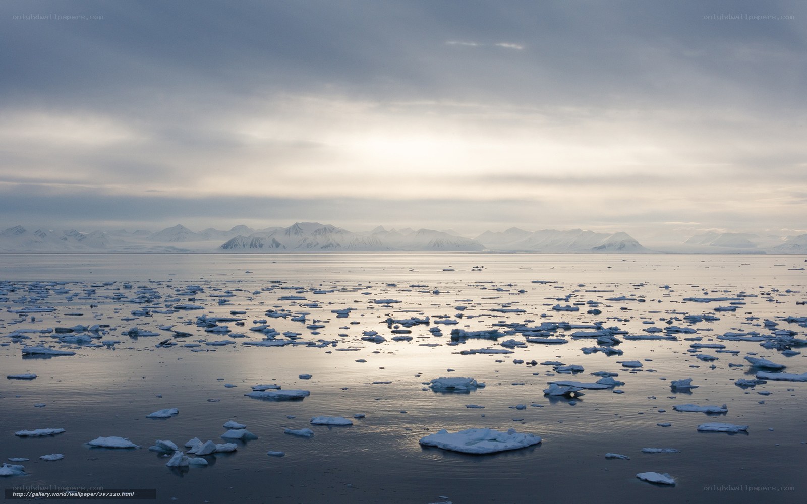 Arctic ice floes at dawn