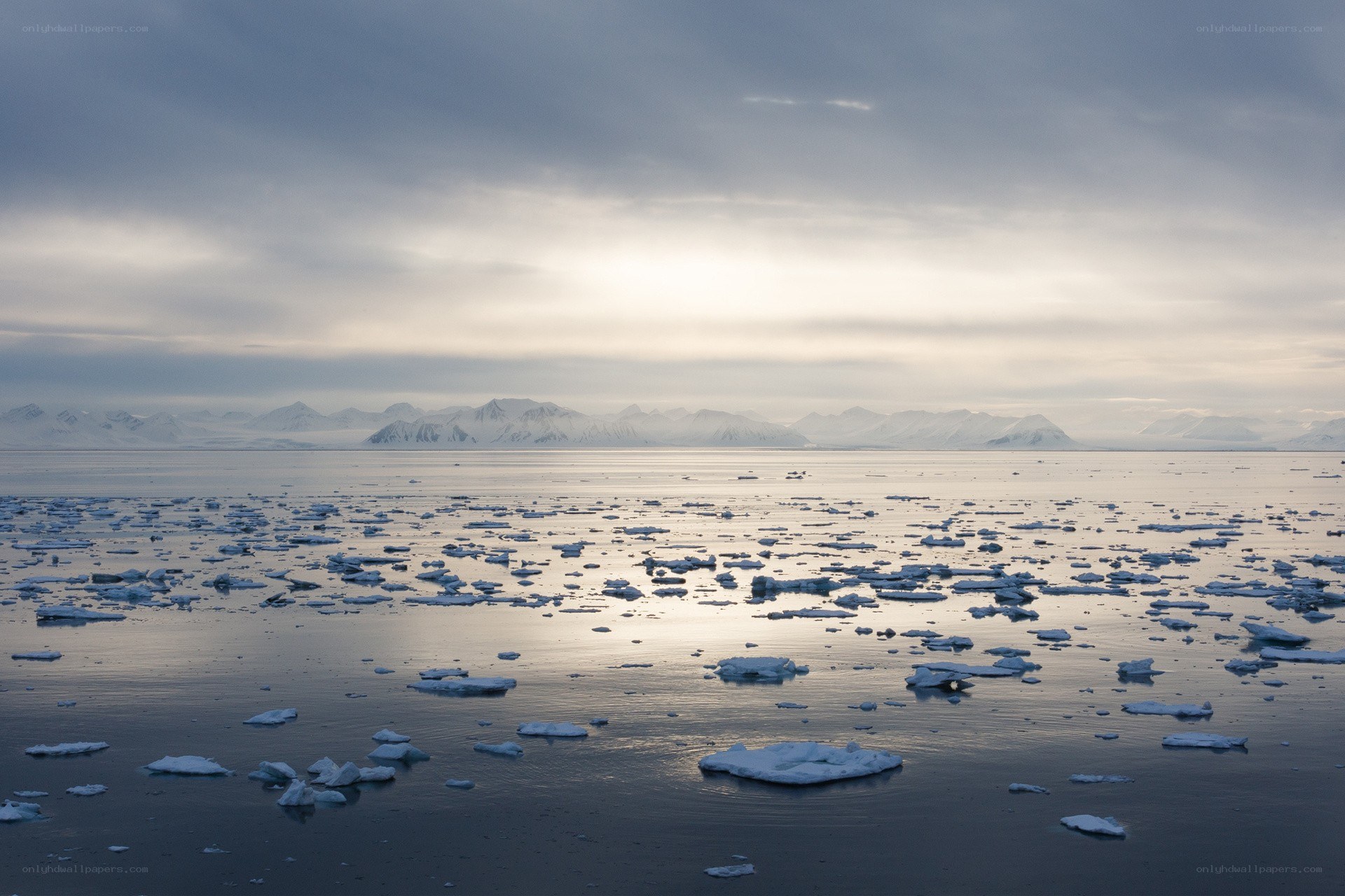 Arctic ice floes at dusk