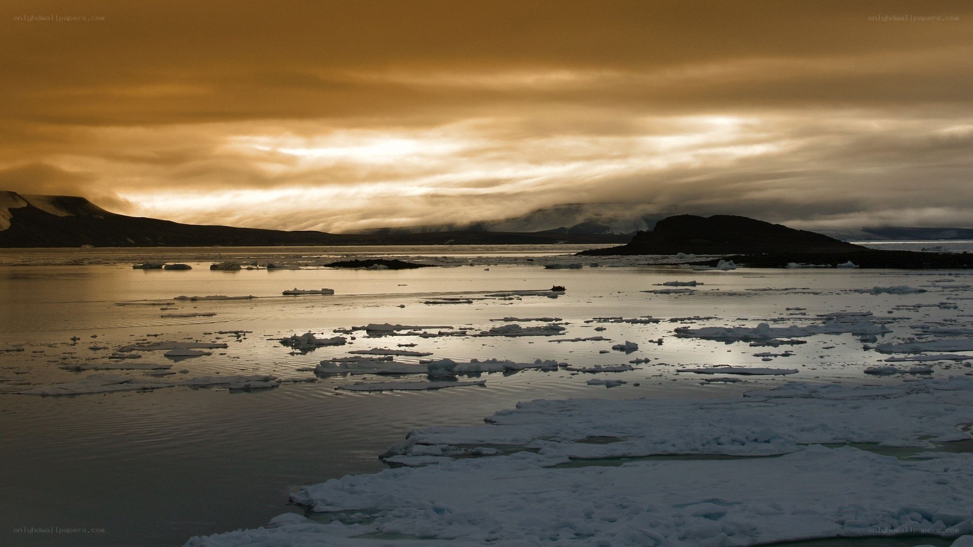 Arctic ice floes at sunset