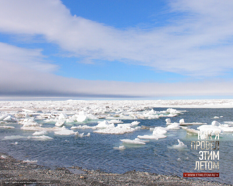 Arctic ice floes on a sunny day