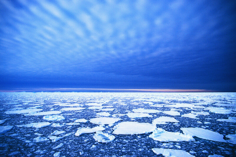 Arctic ice floes under blue sky
