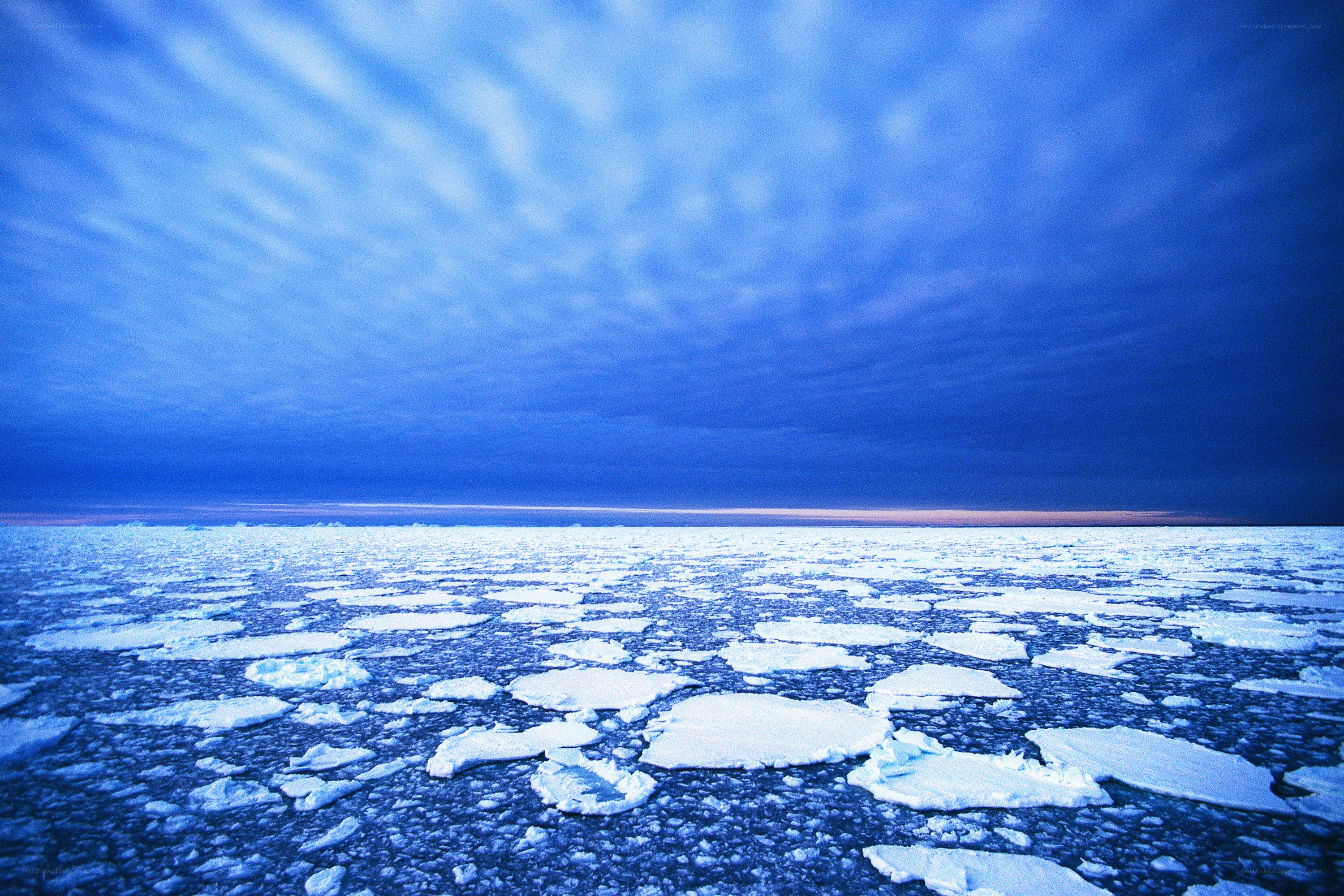 Arctic ice floes under blue sky
