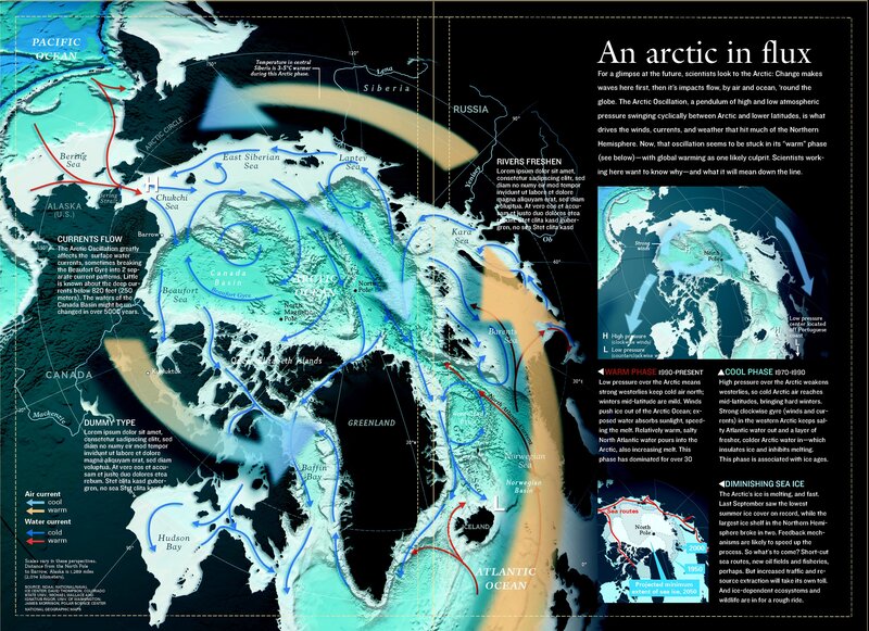Arctic in Flux