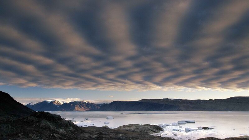 Arctic landscape with icebergs