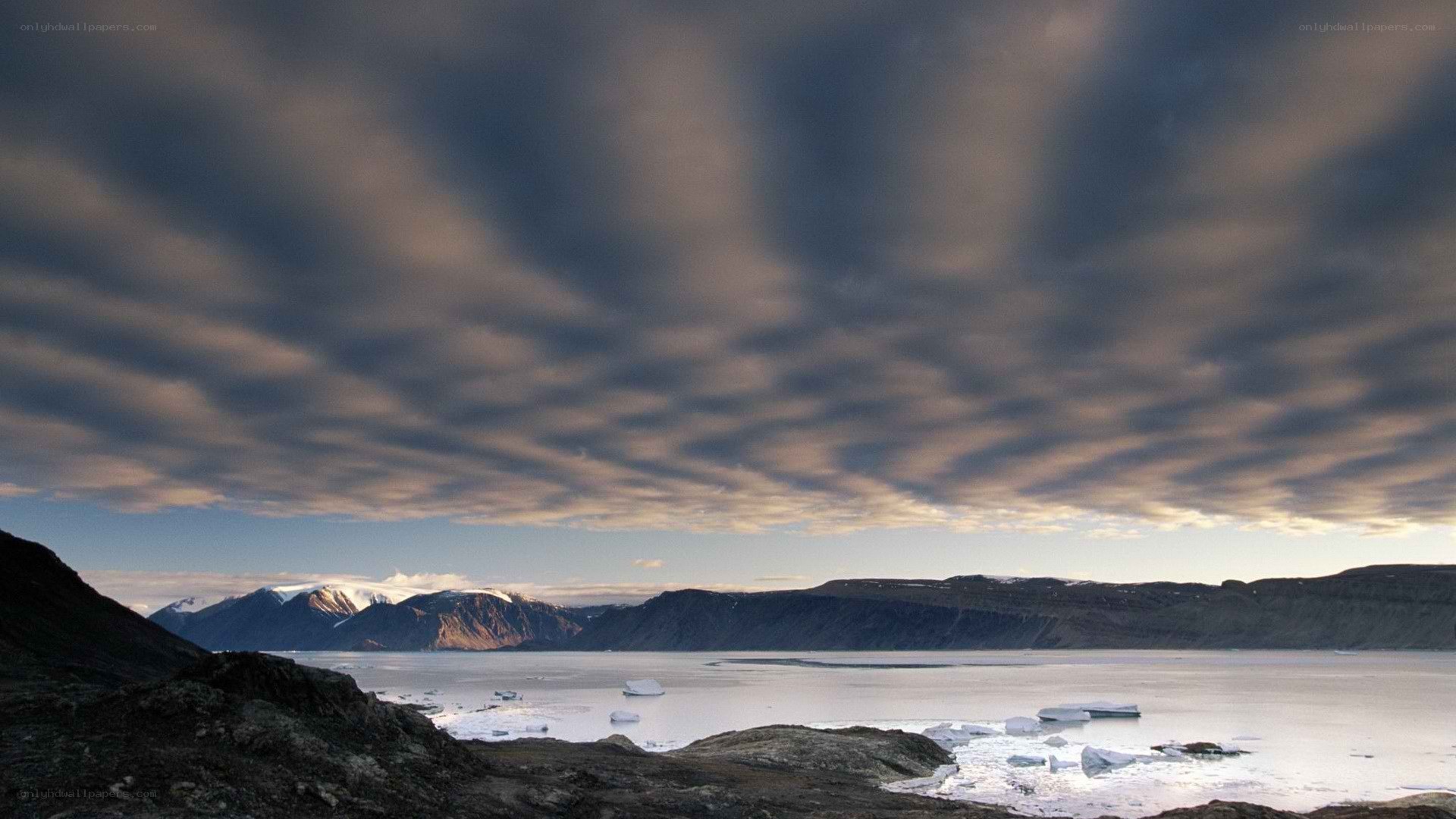 Arctic landscape with icebergs