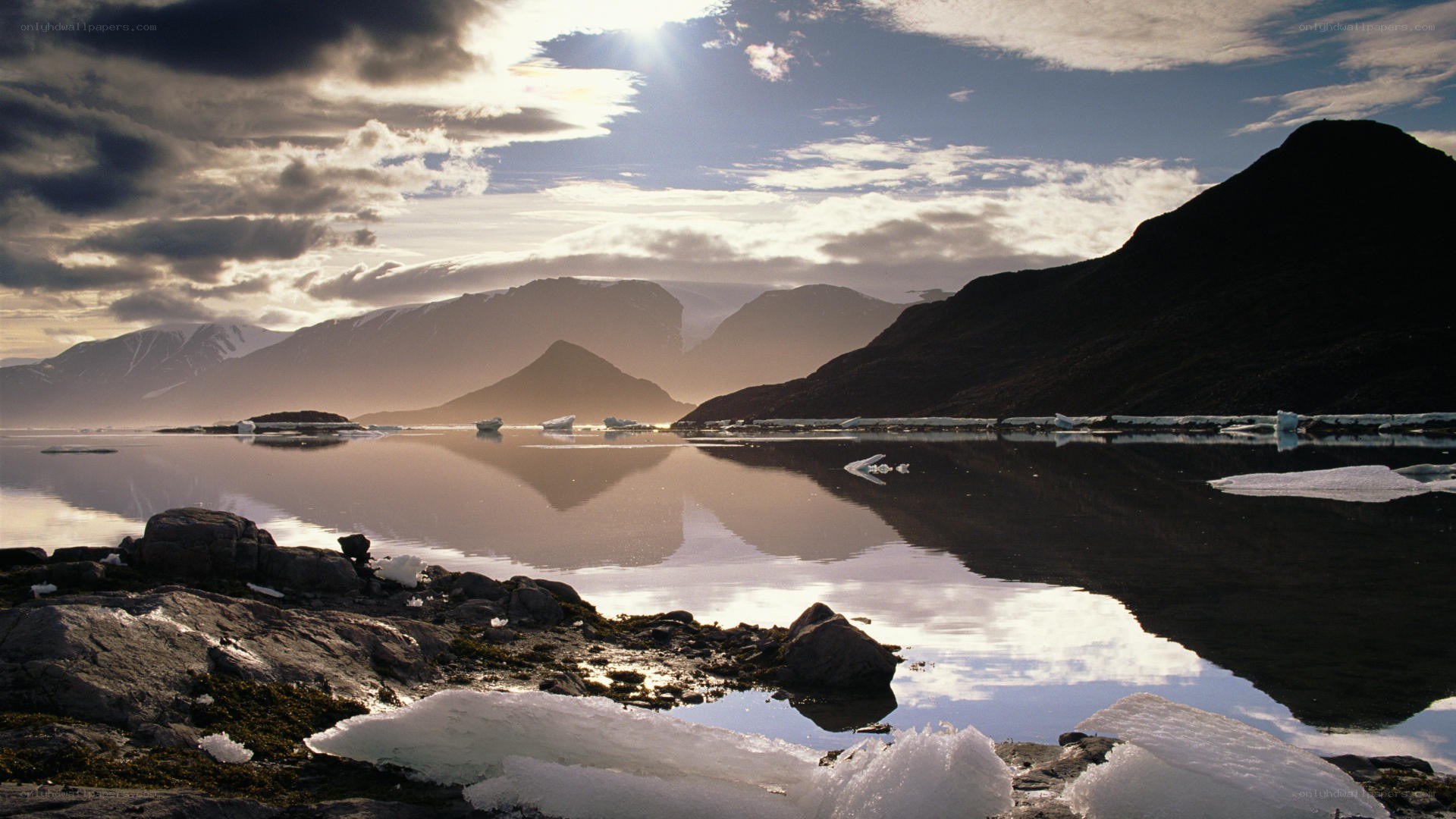 Arctic landscape with icebergs