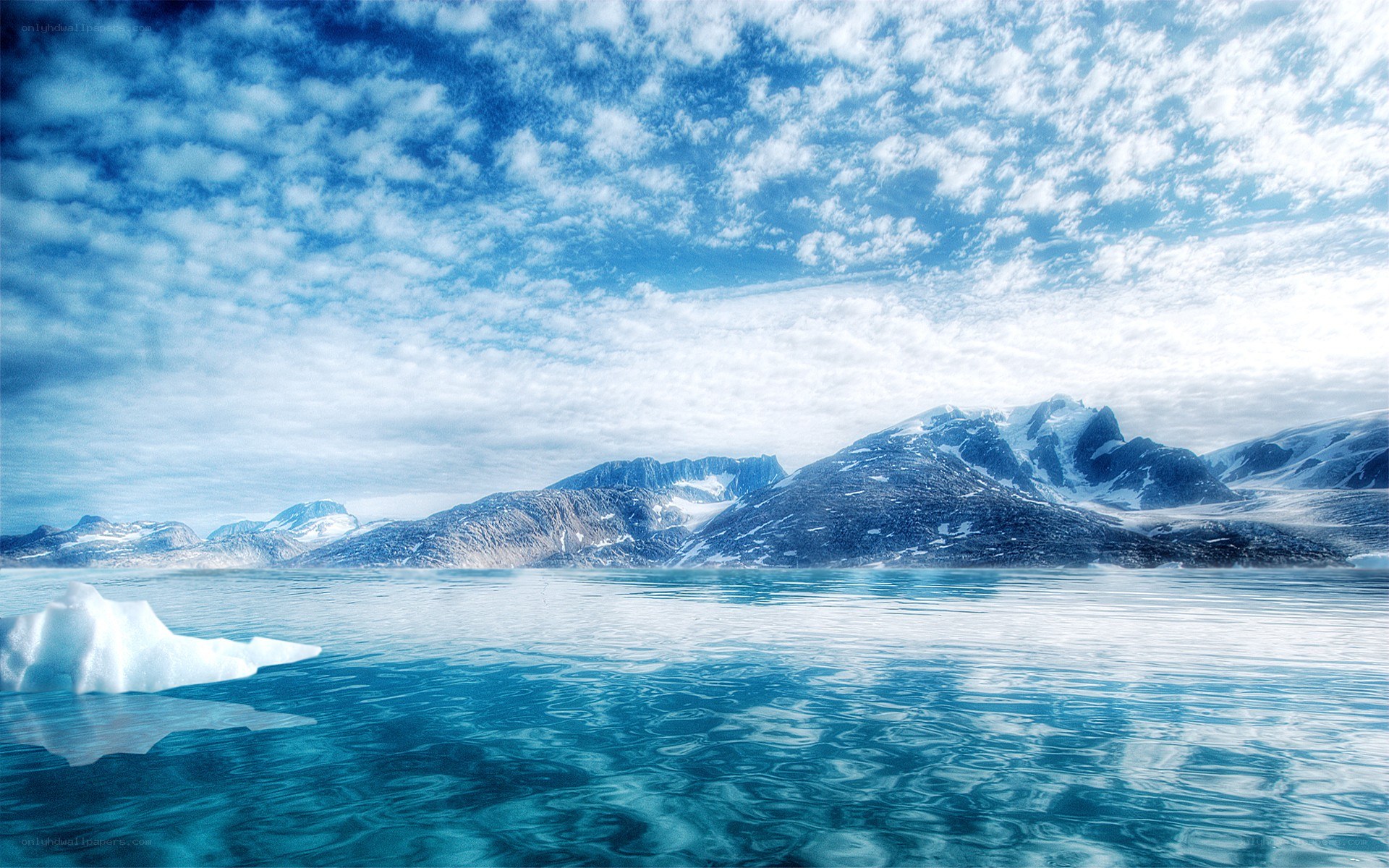 Arctic landscape with icebergs