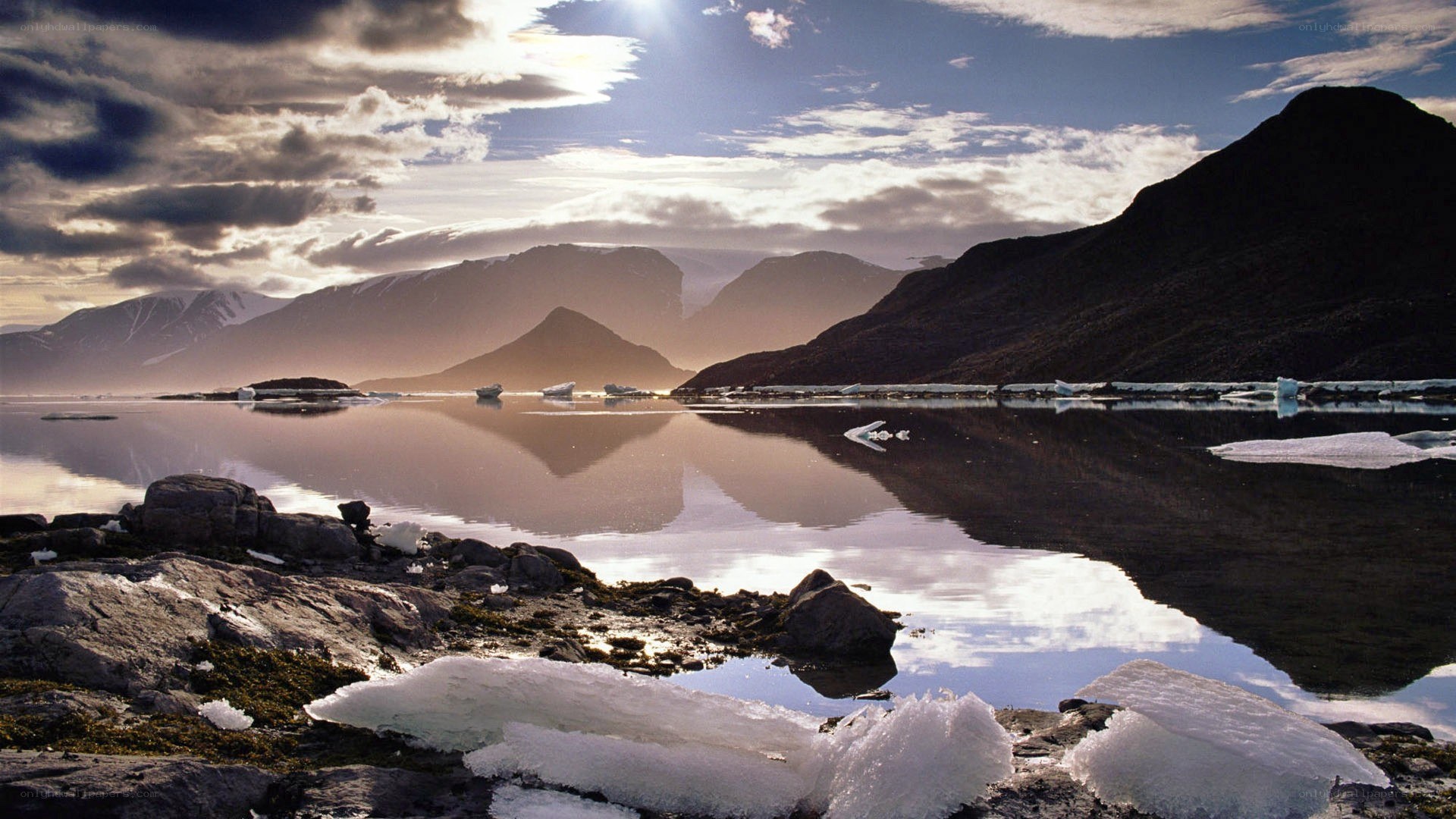 Arctic landscape with icebergs
