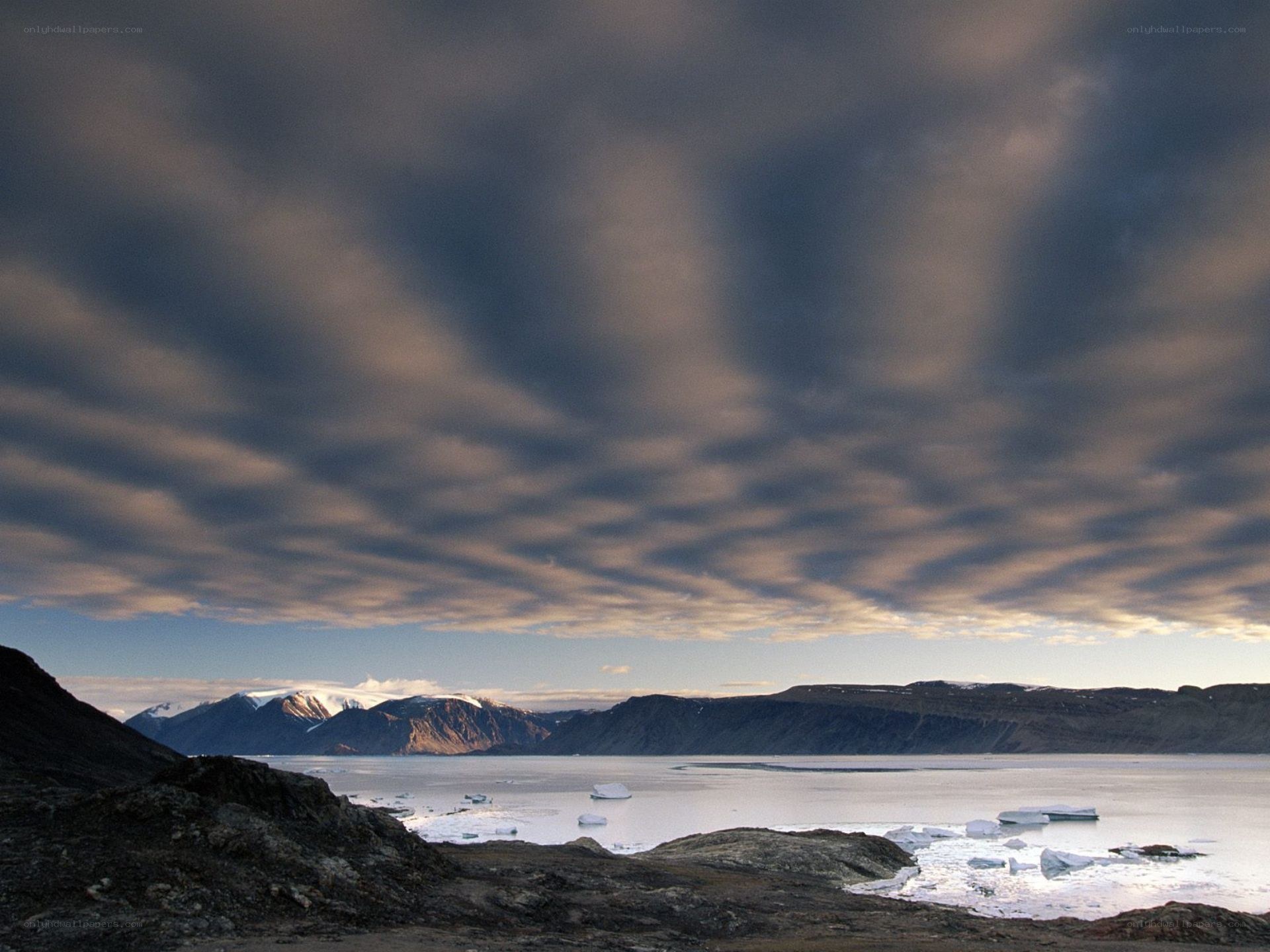 Arctic landscape with icebergs
