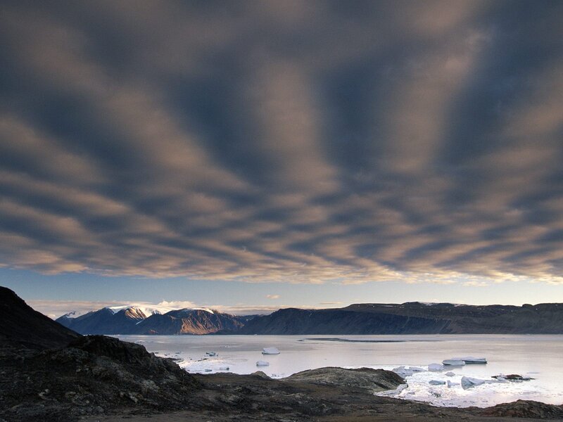 Arctic Landscape with Icebergs — Gray