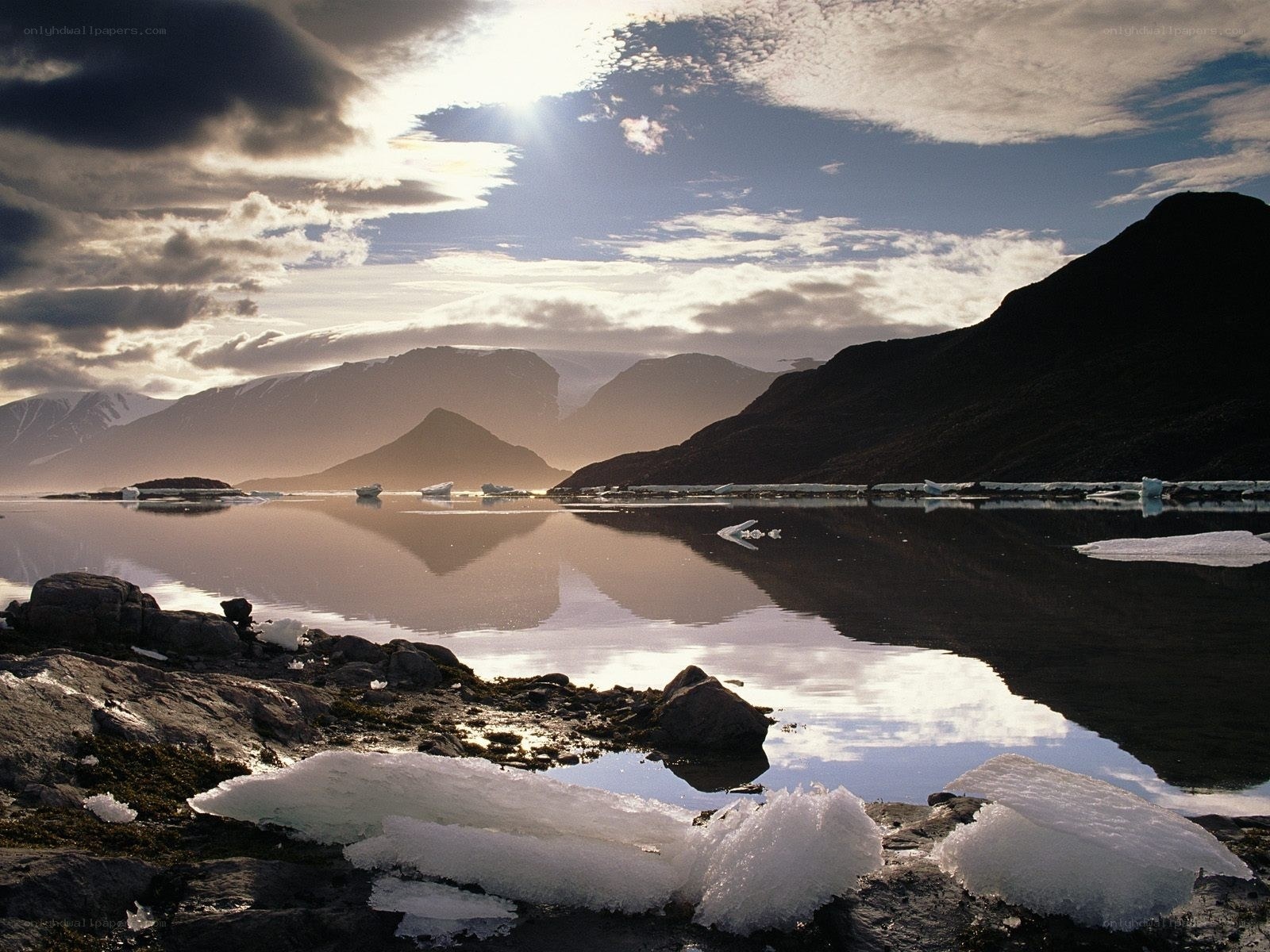 Arctic landscape with icebergs