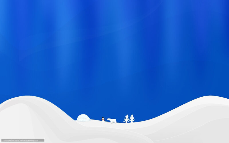 Arctic landscape with igloo
