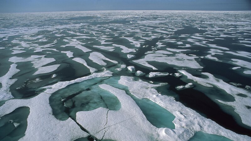 Arctic sea ice from above
