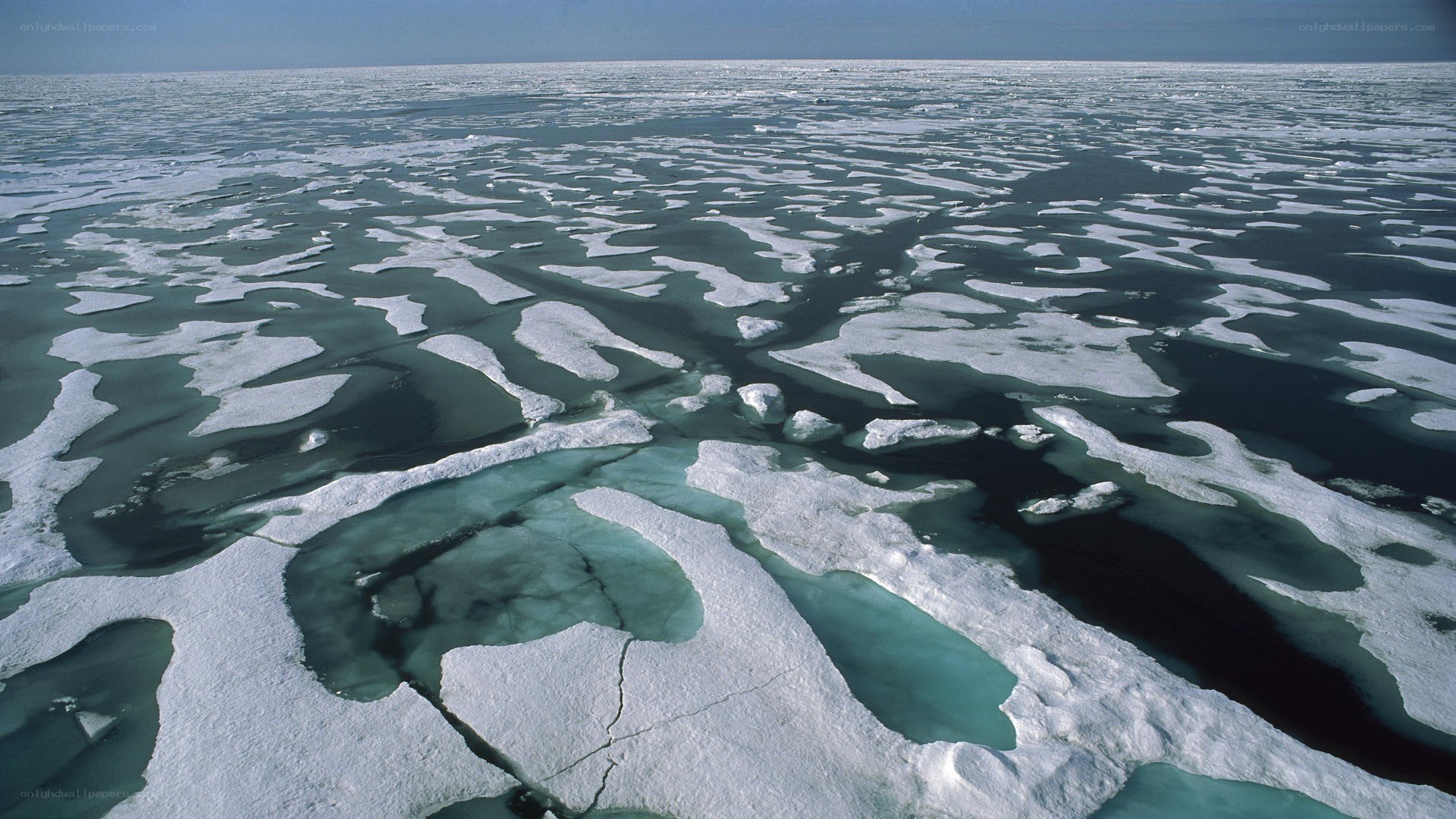 Arctic sea ice from above