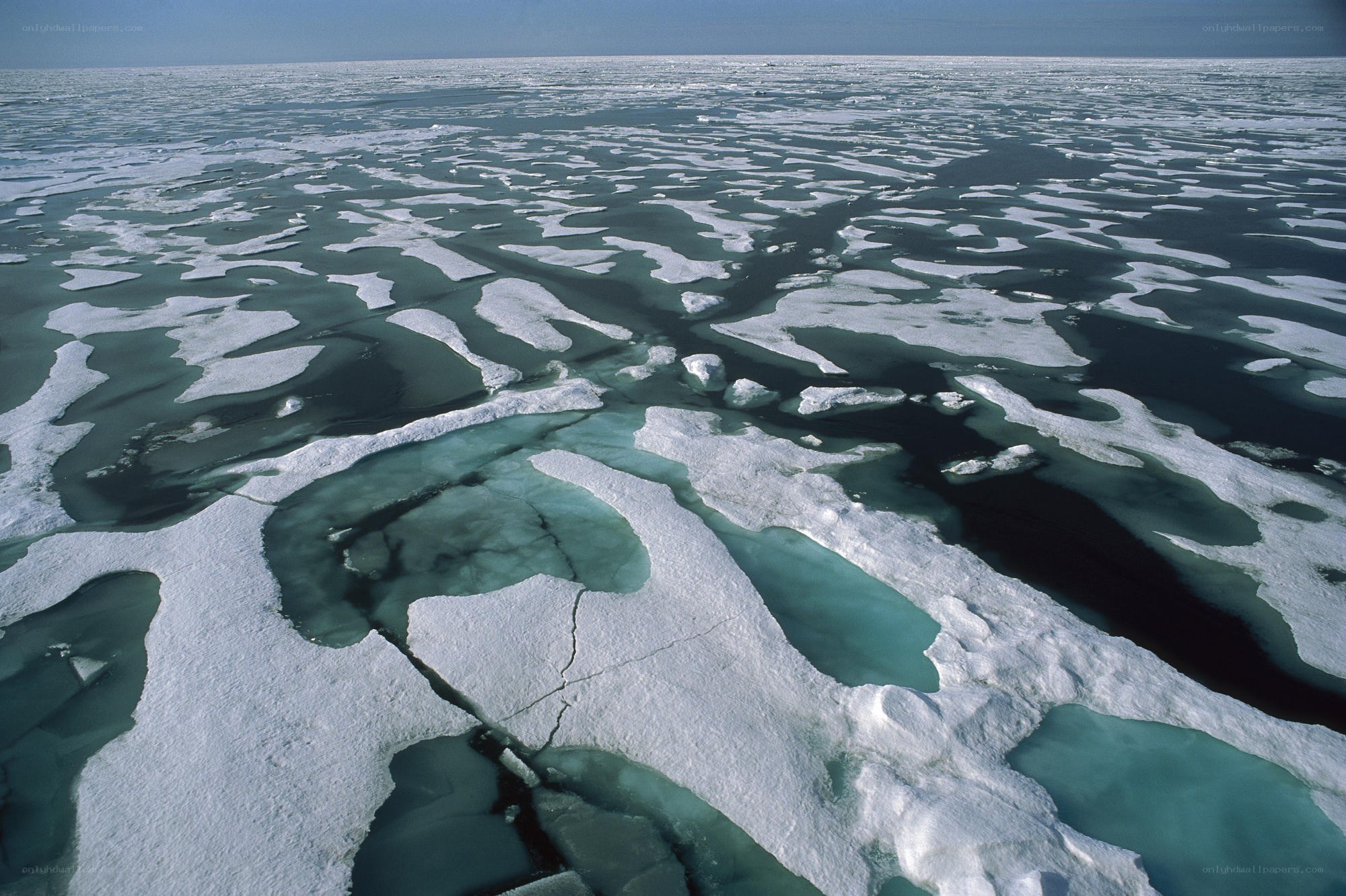 Arctic sea ice from above