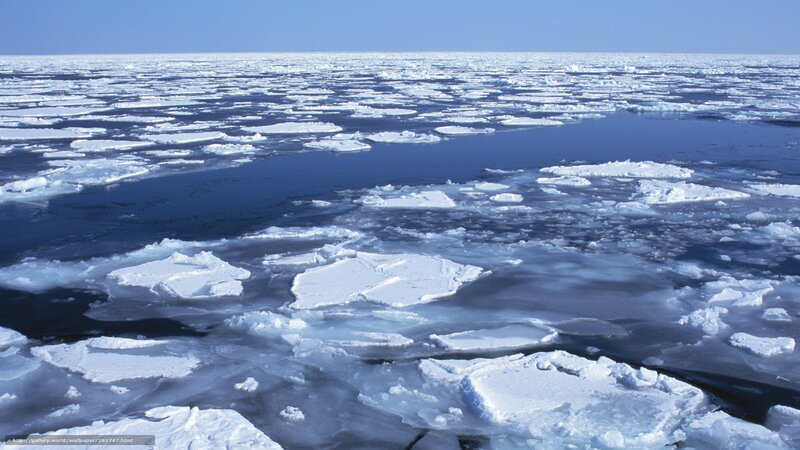 Arctic sea ice landscape