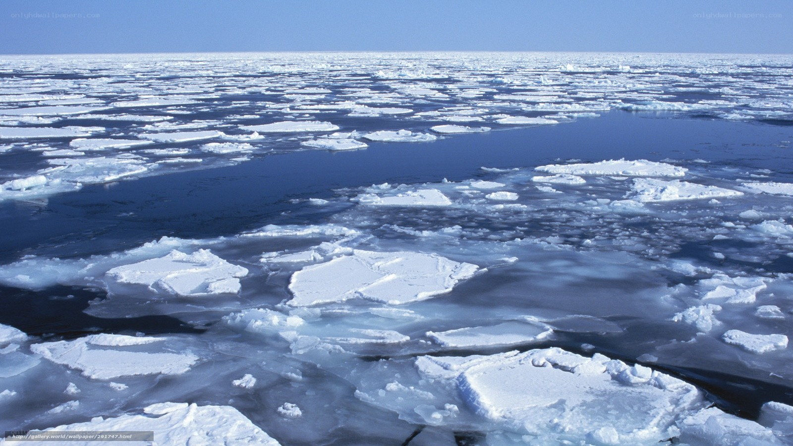 Arctic sea ice landscape