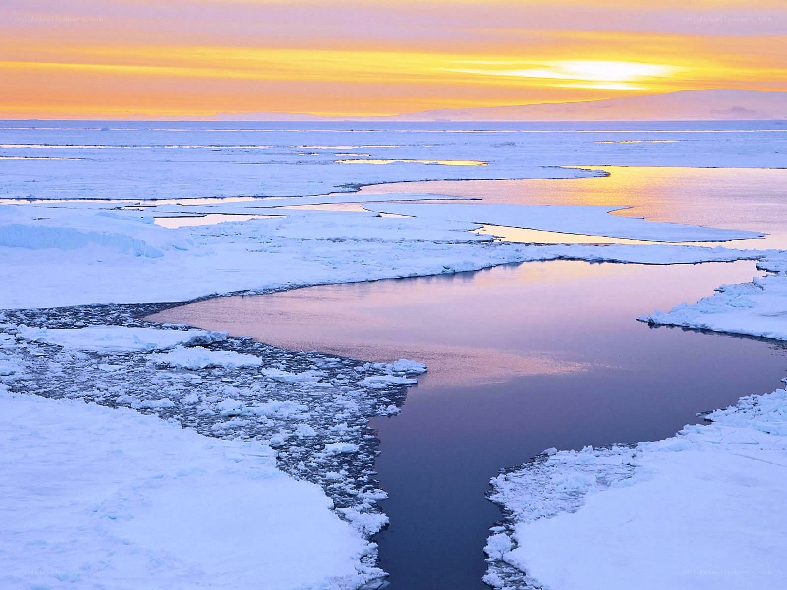 Arctic sunset over ice floes