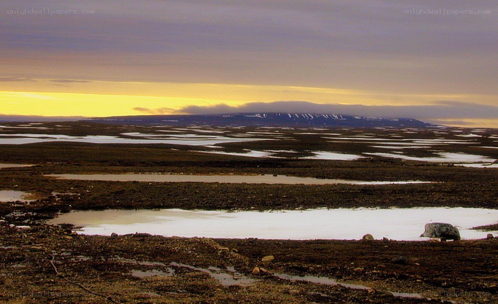 arctic tundra at sunset