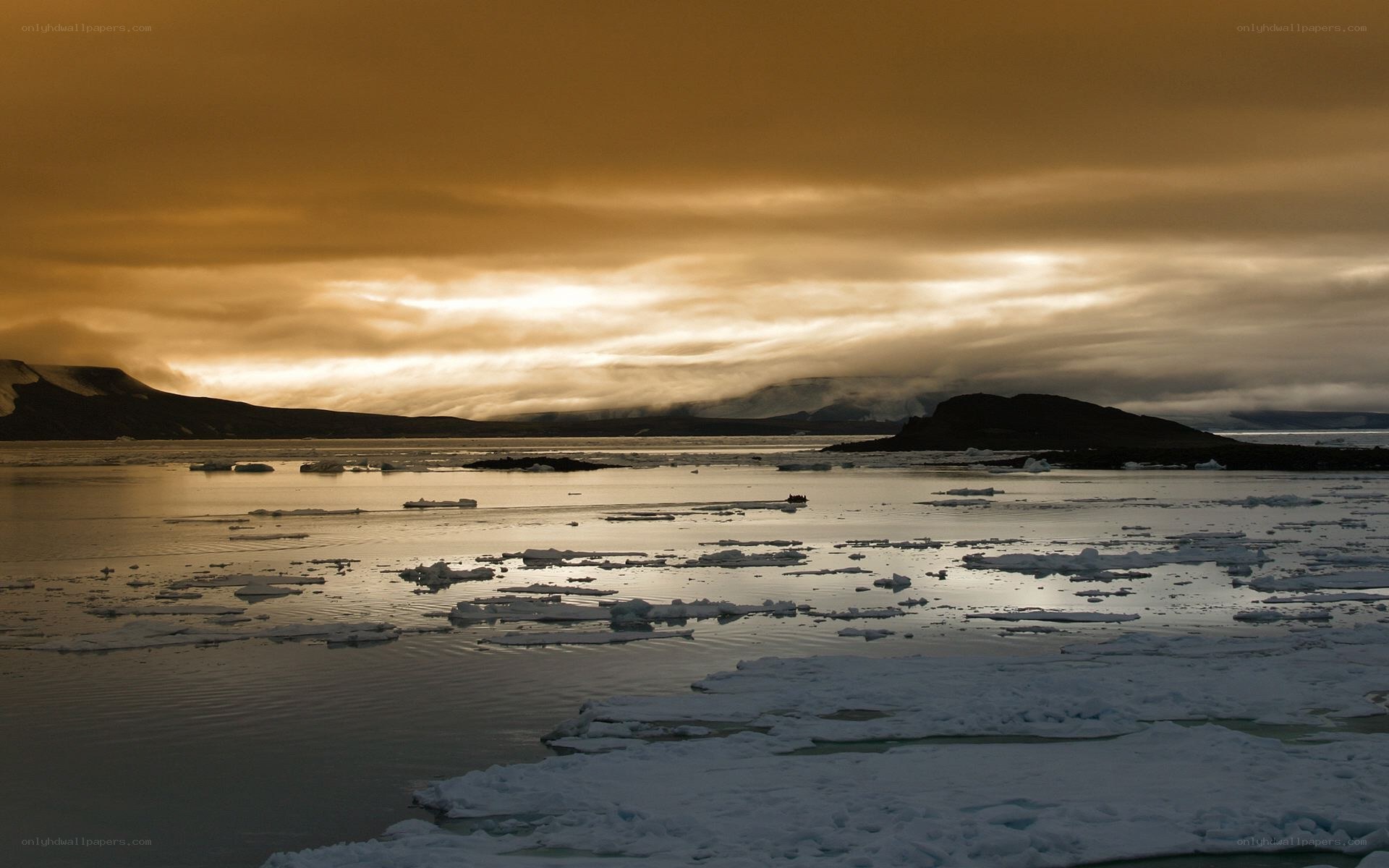 Arctic waters at golden hour