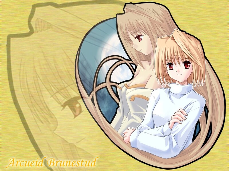 Arcueid Brunestud artwork