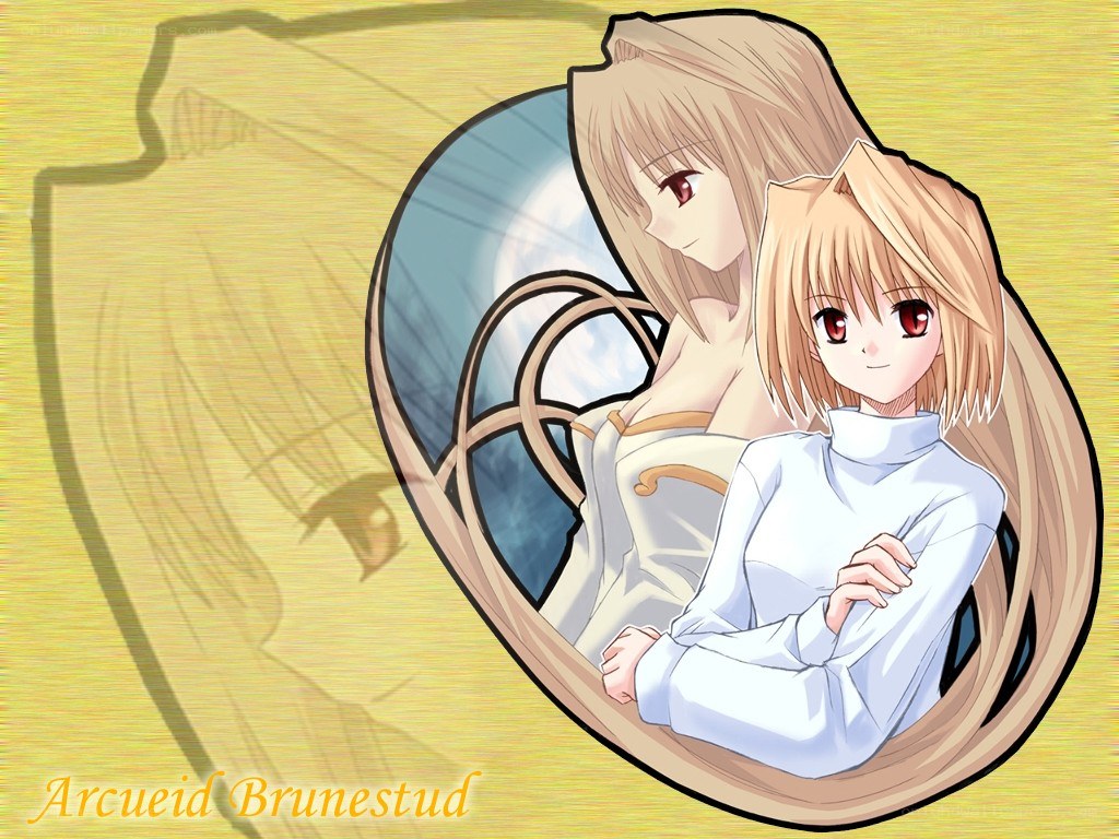 Arcueid Brunestud artwork