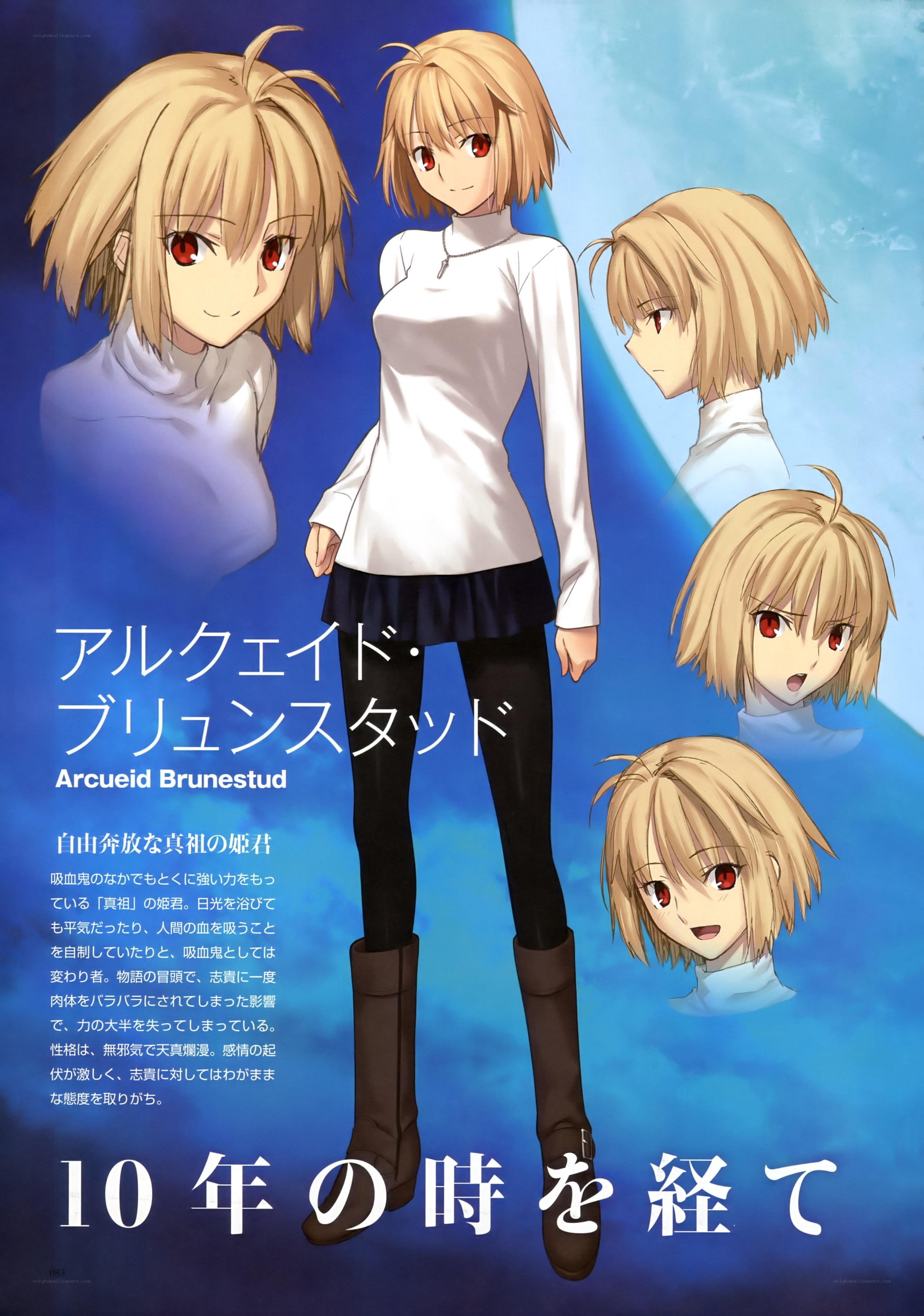 Arcueid Brunestud character art
