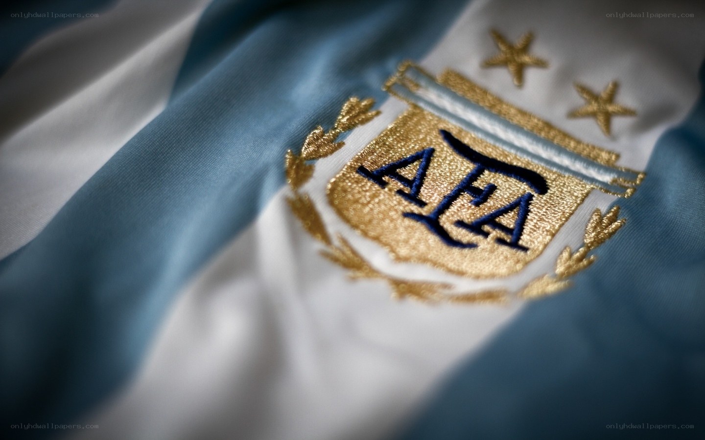 Argentina flag emblem close-up