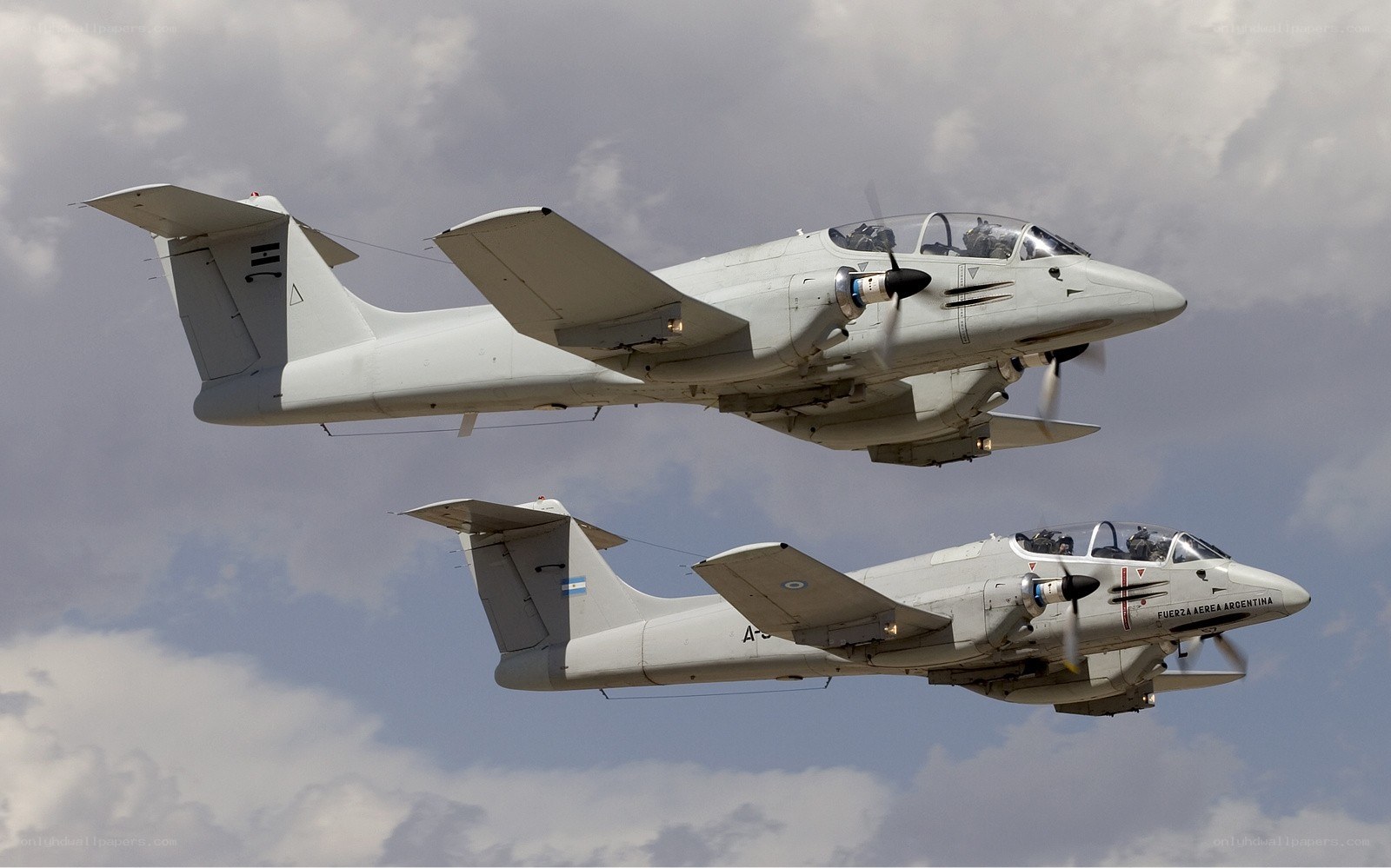 Argentine Air Force aircraft in flight