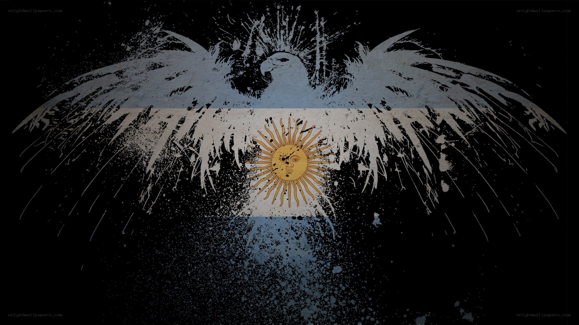 Argentine flag with eagle