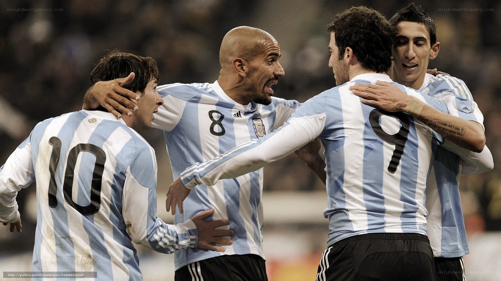 Argentine players celebrate goal