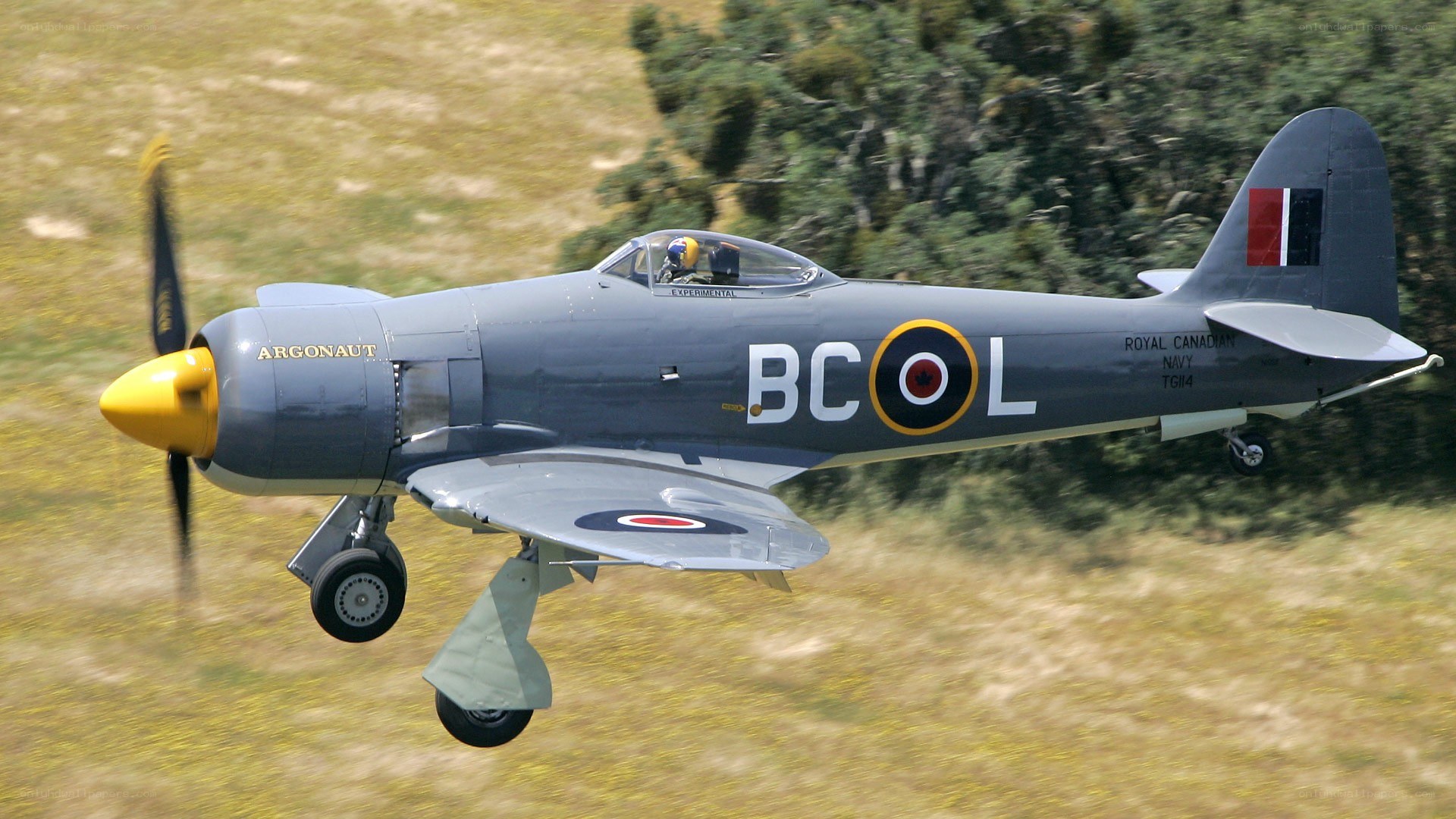 Argonaut fighter plane in flight