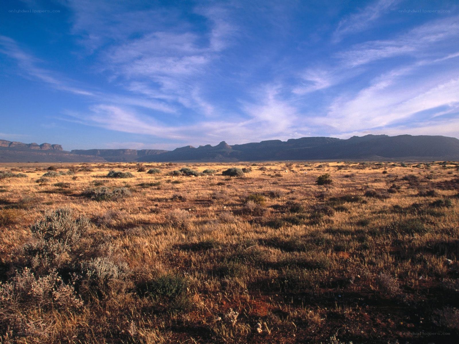 arid desert landscape with mountains